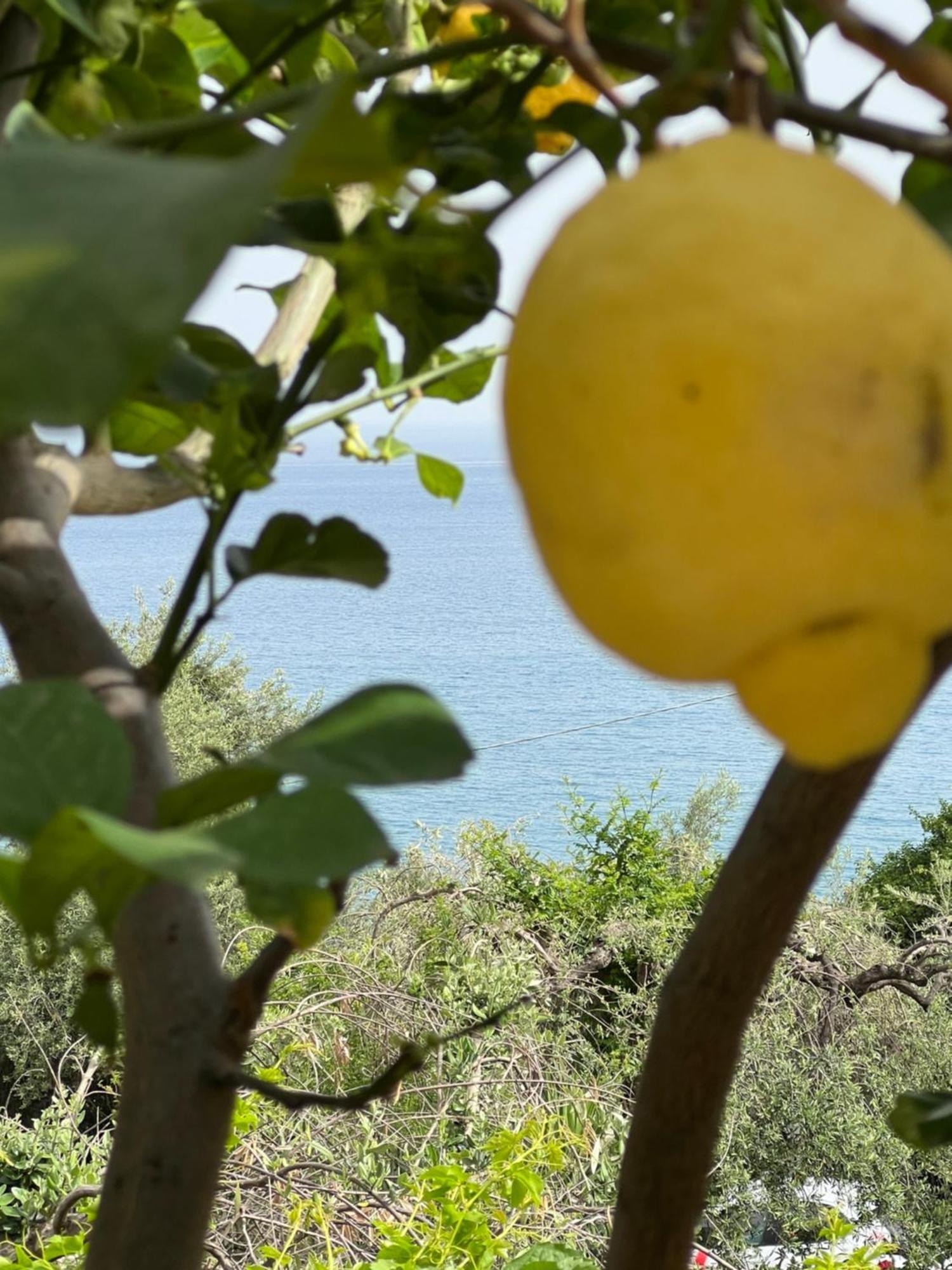 La Casa Dei Ciocio Villa Cefalu Ngoại thất bức ảnh